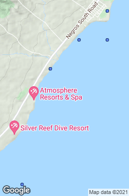 Dumaguete Dive site map